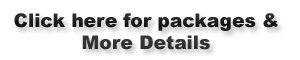 web hosting company in pakistan